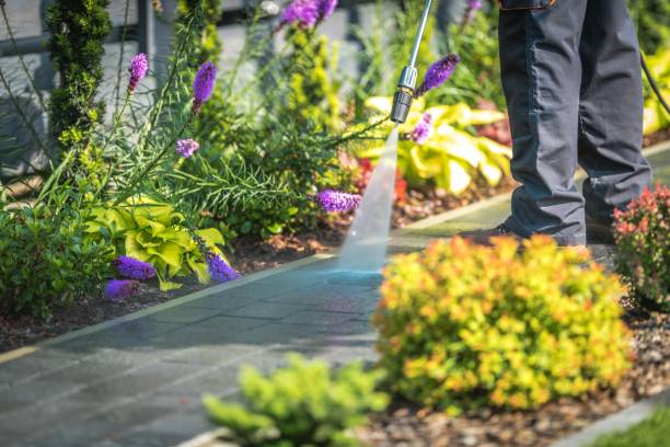Best Gas Station Cleaning  in North Fair Oaks, CA